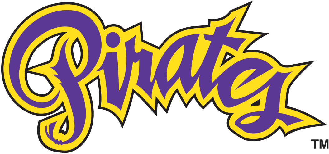 East Carolina Pirates 1999-2013 Wordmark Logo v4 diy iron on heat transfer...
